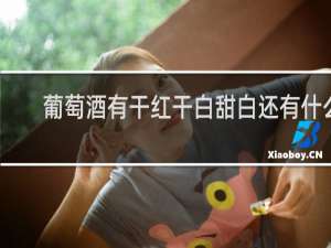 葡萄酒有干红干白甜白还有什么