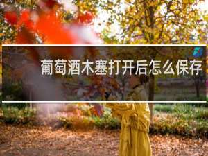 葡萄酒木塞打开后怎么保存