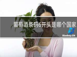 葡萄酒条码6开头是哪个国家