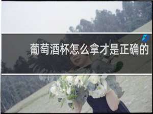 葡萄酒杯怎么拿才是正确的