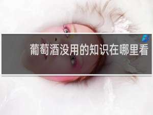 葡萄酒没用的知识在哪里看