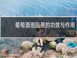 葡萄酒泡圆葱的功效与作用