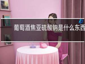 葡萄酒焦亚硫酸钠是什么东西