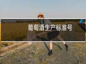 葡萄酒生产标准号