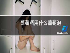 葡萄酒用什么葡萄泡