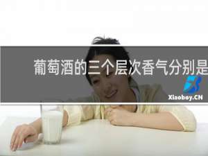 葡萄酒的三个层次香气分别是