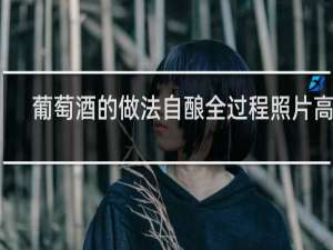葡萄酒的做法自酿全过程照片高清