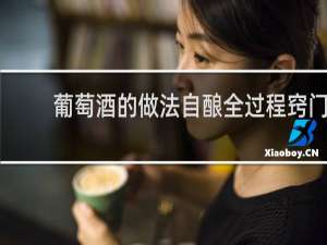 葡萄酒的做法自酿全过程窍门