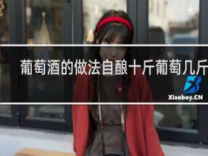 葡萄酒的做法自酿十斤葡萄几斤糖