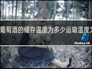 葡萄酒的储存温度为多少运输温度为多少