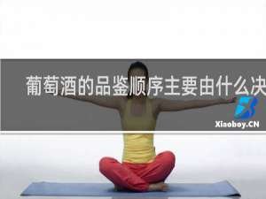 葡萄酒的品鉴顺序主要由什么决定