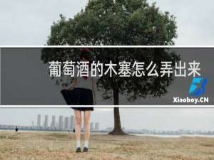 葡萄酒的木塞怎么弄出来