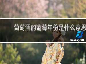 葡萄酒的葡萄年份是什么意思
