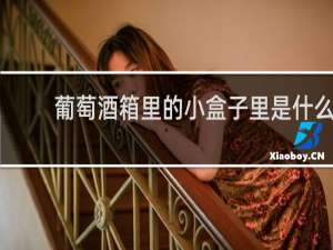 葡萄酒箱里的小盒子里是什么