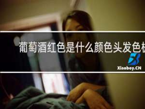 葡萄酒红色是什么颜色头发色板