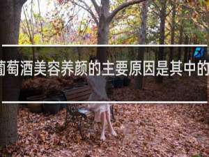 葡萄酒美容养颜的主要原因是其中的绿原酸