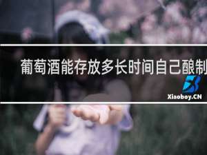 葡萄酒能存放多长时间自己酿制的