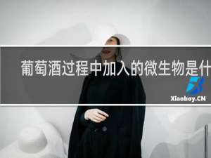 葡萄酒过程中加入的微生物是什么