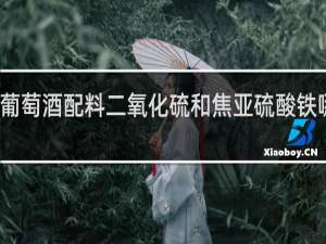 葡萄酒配料二氧化硫和焦亚硫酸铁哪个好