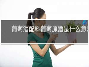 葡萄酒配料葡萄原酒是什么意思