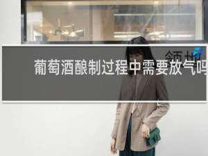 葡萄酒酿制过程中需要放气吗