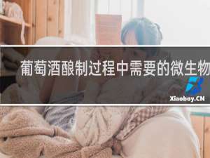 葡萄酒酿制过程中需要的微生物是
