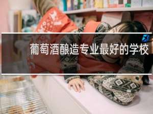 葡萄酒酿造专业最好的学校