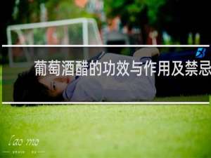 葡萄酒醋的功效与作用及禁忌