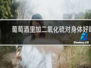 葡萄酒里加二氧化硫对身体好吗