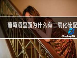 葡萄酒里面为什么有二氧化硫配料