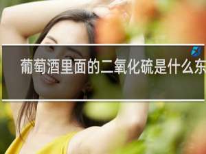 葡萄酒里面的二氧化硫是什么东西