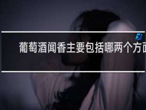 葡萄酒闻香主要包括哪两个方面