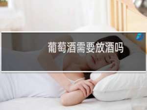 葡萄酒需要放酒吗