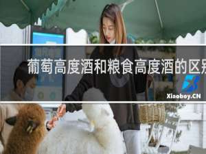 葡萄高度酒和粮食高度酒的区别