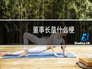 董事长是什么梗