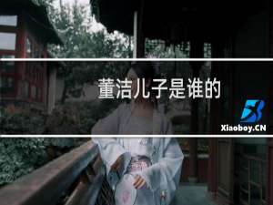 董洁儿子是谁的