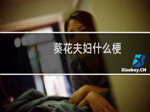 葵花夫妇什么梗？什么梗