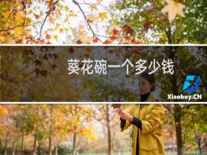 葵花碗一个多少钱