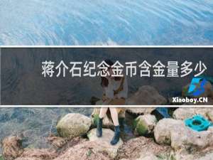 蒋介石纪念金币含金量多少