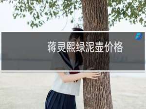 蒋灵熙绿泥壶价格
