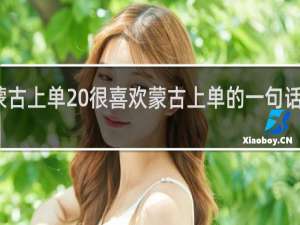 蒙古上单 很喜欢蒙古上单的一句话什么梗
