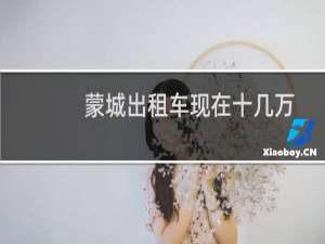 蒙城出租车现在十几万