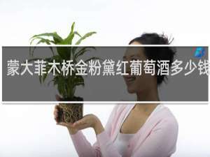 蒙大菲木桥金粉黛红葡萄酒多少钱一瓶