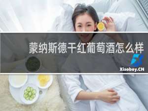 蒙纳斯德干红葡萄酒怎么样