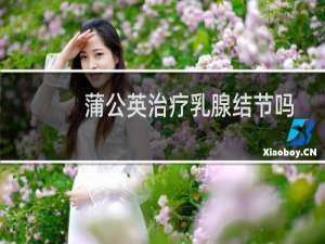 蒲公英治疗乳腺结节吗