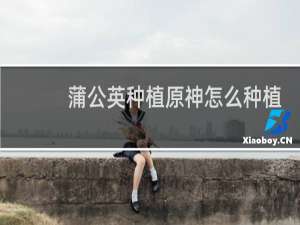 蒲公英种植原神怎么种植