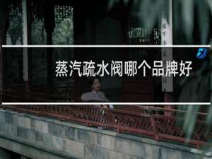 蒸汽疏水阀哪个品牌好