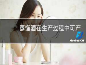 蒸馏酒在生产过程中可产生的有害物质是()