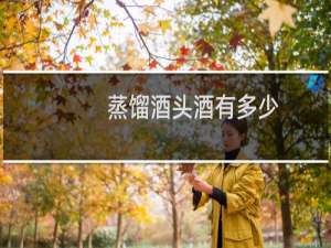 蒸馏酒头酒有多少