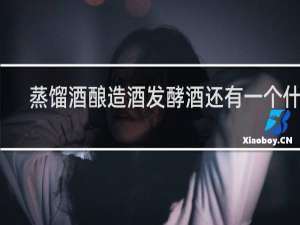 蒸馏酒酿造酒发酵酒还有一个什么